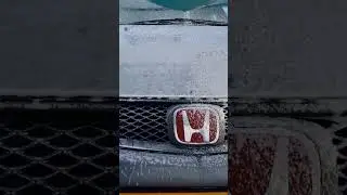 Solo Cleanline Vario Foamer & Adams Car Wash Shampoo #autodetailing #short #shortsvideo