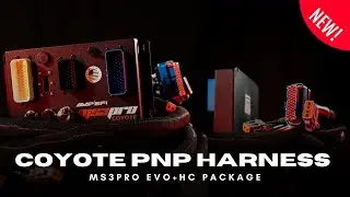 Coyote PNP Harness Package: What You Need to Know | DIYAutoTune