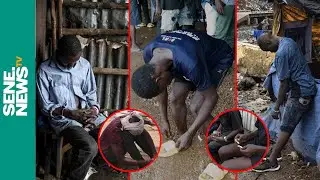 Port de Dakar : La confidence des vendeuses de gargotes entre menaces, drogues et bagarre