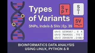 Types of Variants in Variant Calling | SNPs, Indels & SVs | Ep. 39