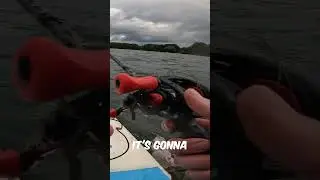 ПОЧЕМУ ВАМ СТОИТ ПЕРЕЙТИ НА БЕЙТКАСТЕР #рыбалка #шорты