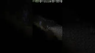 Be not afraid of my fall damage!!