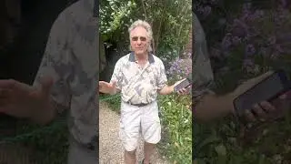 Honor our Veterans with a Cameo from Gary Puckett