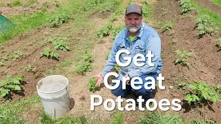 When is the right time to fertilize for a big harvest?