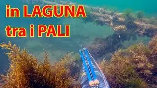 pesca tra i PALI AFFONDATI in LAGUNA VENETA
