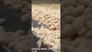 LFM Continuous Peanut Roasting Machine