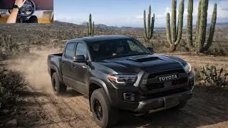 OFF-ROAD BEAST! 🏔️ Toyota Tacoma 4x4 Mountain Run | Forza Horizon 5 (HANDCAM) Logitech G29