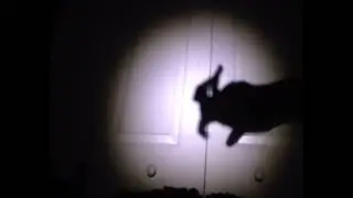 #edit #viral #handpuppets