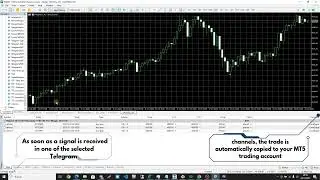 Telegram2MT5 Signal Copier   Copy Telegram Signals to MT5 Faster and Easy