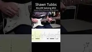 WAY COOL Shawn Tubbs OUTSIDE solo lines #02 (Keeley Blues Disorder #tabs)