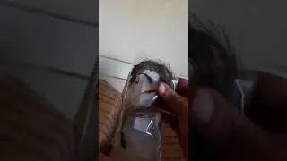 H2O plants unboxing