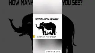 Animation, #best #reels #shots #animation #fun #amazing #like #reasoning #image #cartoon #animals
