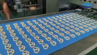 Skywin Pretzel Biscuit Production Line