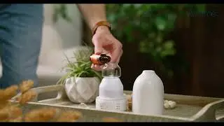 Snow Essential Oil Nebulizer Diffuser