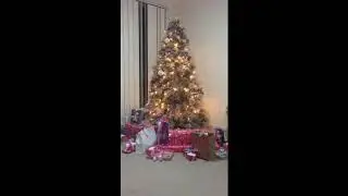 Rotating Christmas Tree Stand