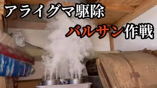 アライグマ捕獲計画   vol.9 バルサン作戦