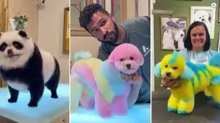 12 Bizarre Hobbies Practiced Worldwide |  Uncommon Hobbies | Weird Hobbies | Strangest Hobbies