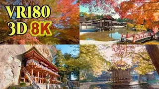 [8K VR180 3D ] 奥州・平泉・北上の紅葉 Autumn leaves in Historic sites,Iwate,Japan