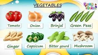 Vegetable Are Awesome! Learn Their Names with Fun! Jump Into vegetable  Names Every Kid Should Know!