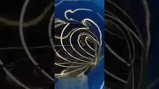 the most, and beautiful, slidingpool.