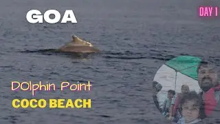Dolphin Spotting at the Arabian Sea in GOA | COCO BEACH | Day 1 | Part 1