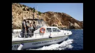 Tributo Corpo Forestale dello Stato