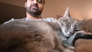 Vlog - Cat trapped by Selene