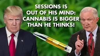 108 MILLION People Joining LEGAL Cannabis: Massive Growth! (Debra Borchardt)