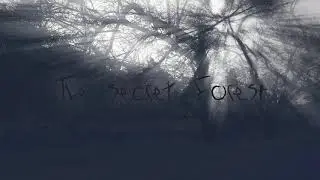 The Secret forest -  Samsung