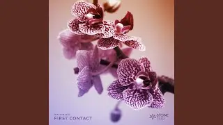 First Contact