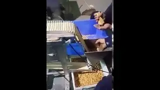 Biscuit sticks chocolate coating machine2