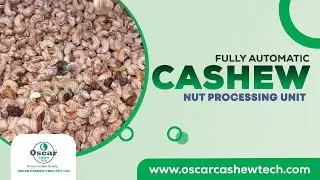 Fully Automatic Cashew Nut Processing Unit, Cashew processing Plant , Oscar Cashew Tech
