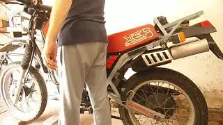 Morinikanguro2021