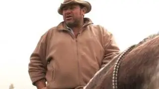 'Gardians' keep French cowboy tradition alive