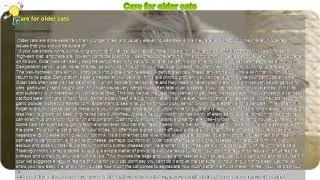 How to : Care for older cats