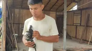 TRABALHANDO NA MINHA CASA RÚSTICA/ COLHENDO FRUTAS NO SÍTIO/ VIDA REAL/ AMAZÔNIA 