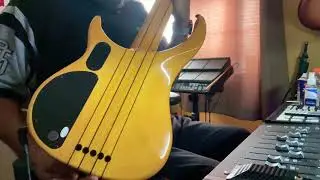 Peavey Cirrus 5 (Indonesia)