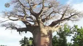 MADAGASCAR ASPERA VEZO VAZA Trip 2014