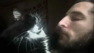 How to Help your Pet Fall Asleep Fast (Slow Blink Method)
