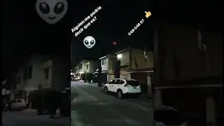 ALENIGENAS?