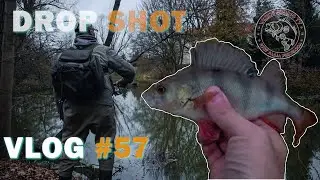 OKONIE na DROP SHOT| Jesienny SPINNING| Vlog #57