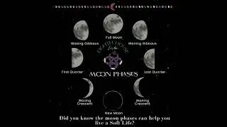 Follow The Moon Phases For A Soft Life 🌕​🌗​🌑​
