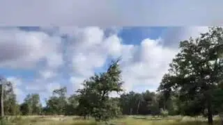 Wandeling Galgenvenn