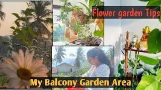ලස්සනට මල් වවන්න ඉඩක් නෑ කියලා දුක් වෙන ඔයාට/ flower garden ideas & tips🪴🌿🌷 #viralvideo 