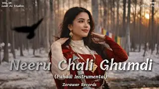 Neeru Chali Ghumdi With Extra Vibe 2026 (Pahadi Instrumental) #sitarvibes #veena   @zorawarrecords