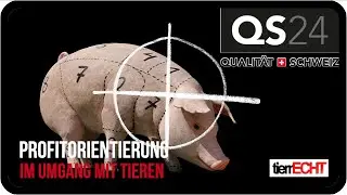Profitorientierung im Umgang mit Tieren | tierrECHT | QS24 22.09.2019