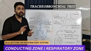 Conducting Zone | Dead Space | Respiratory Zone | Dr Krunal Dabhi