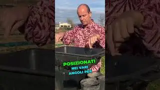 Gabassi, i migliori per coltivare le nostre ninfee rustiche!!!