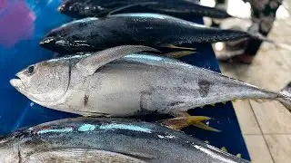 Learn How to Cut Fresh Fish Like a Pro