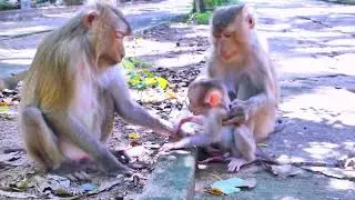 A mother&rsquo;s love &mdash; Lora never leaves her baby unattended